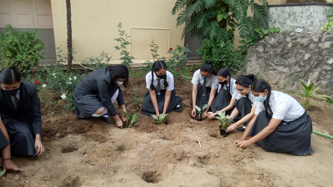 STD 9 Supw Plantation